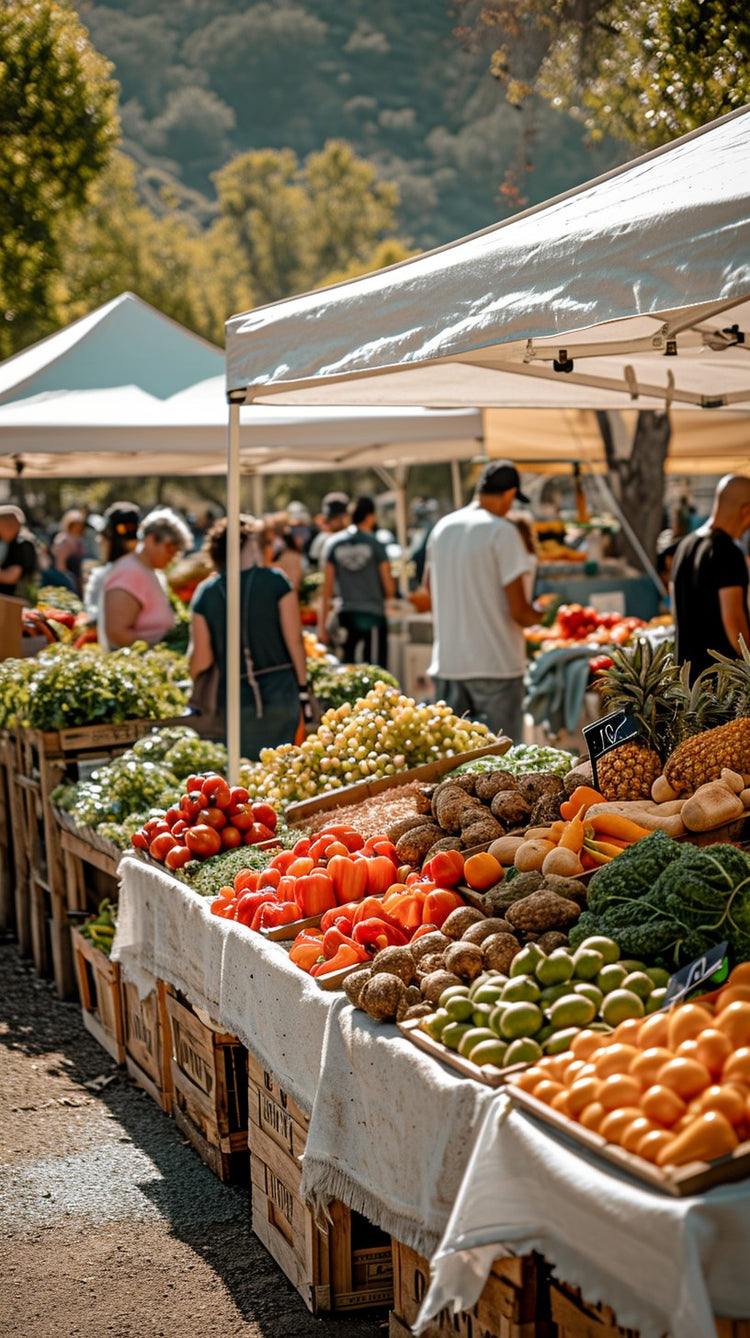 Collections Delux Party Hire