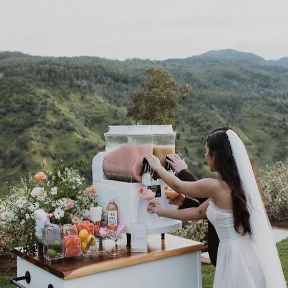 Slushie Machine