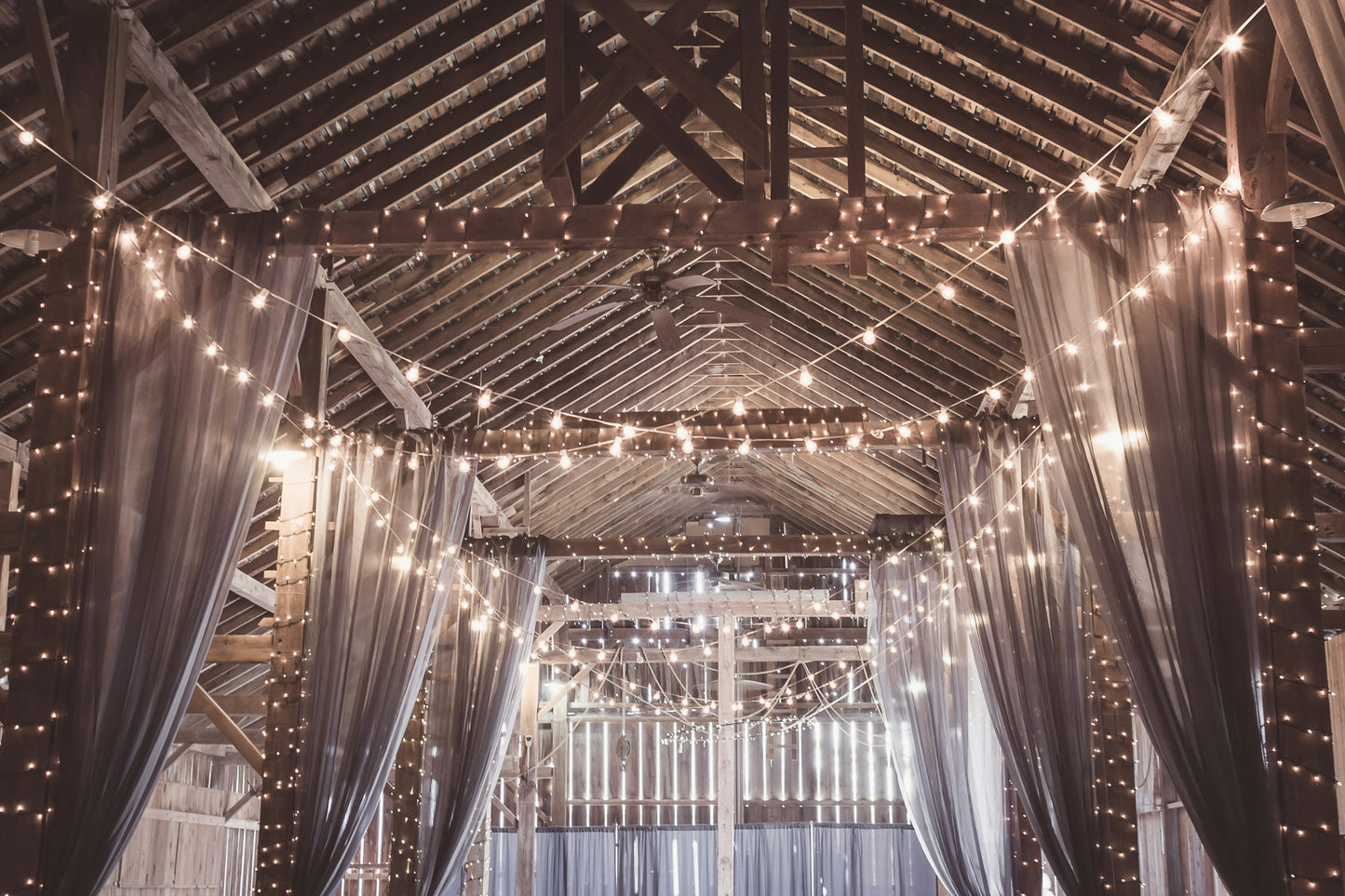 Fairy Lights