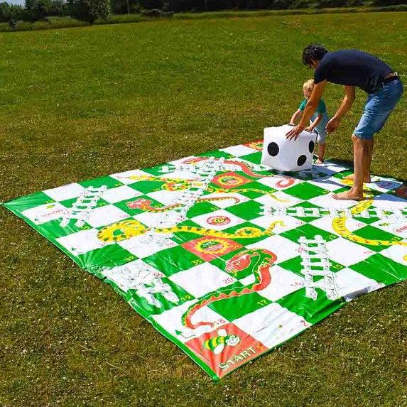 Giant Snakes and Ladders